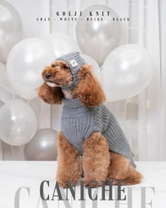 CANICHE Fruit Hat (5 Types) detail 14