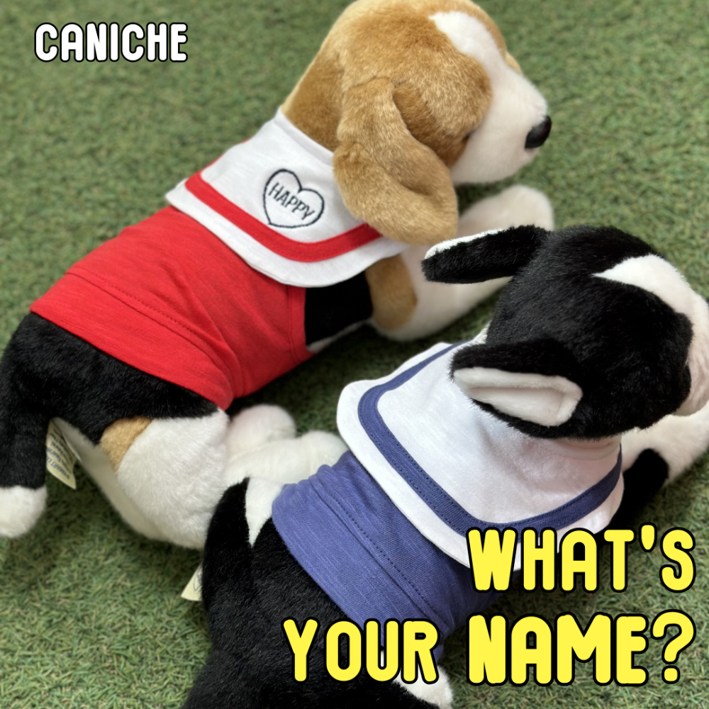 CANICHE Marine Slub Halter Neck (Name Embroidery Available) detail 2