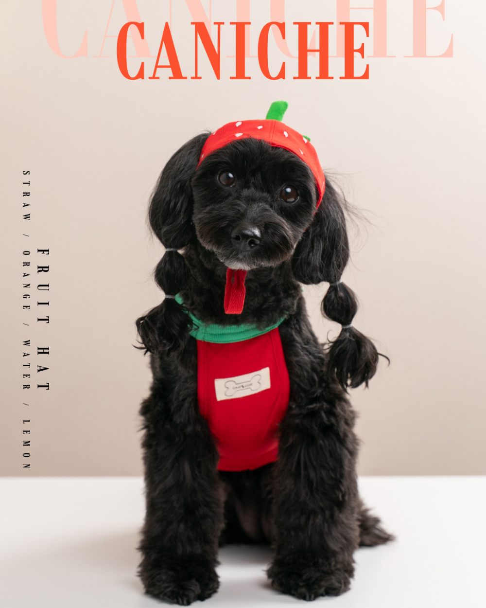 CANICHE Fruit Hat (5 Types) detail 2