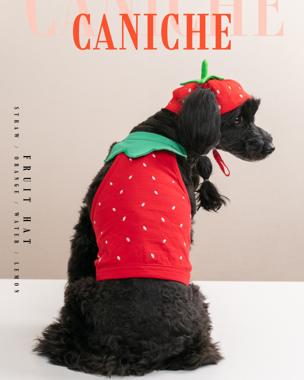 CANICHE Fruit Hat (5 Types) detail 1