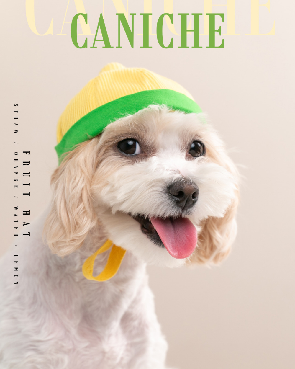 CANICHE Fruit Hat (5 Types) detail 3