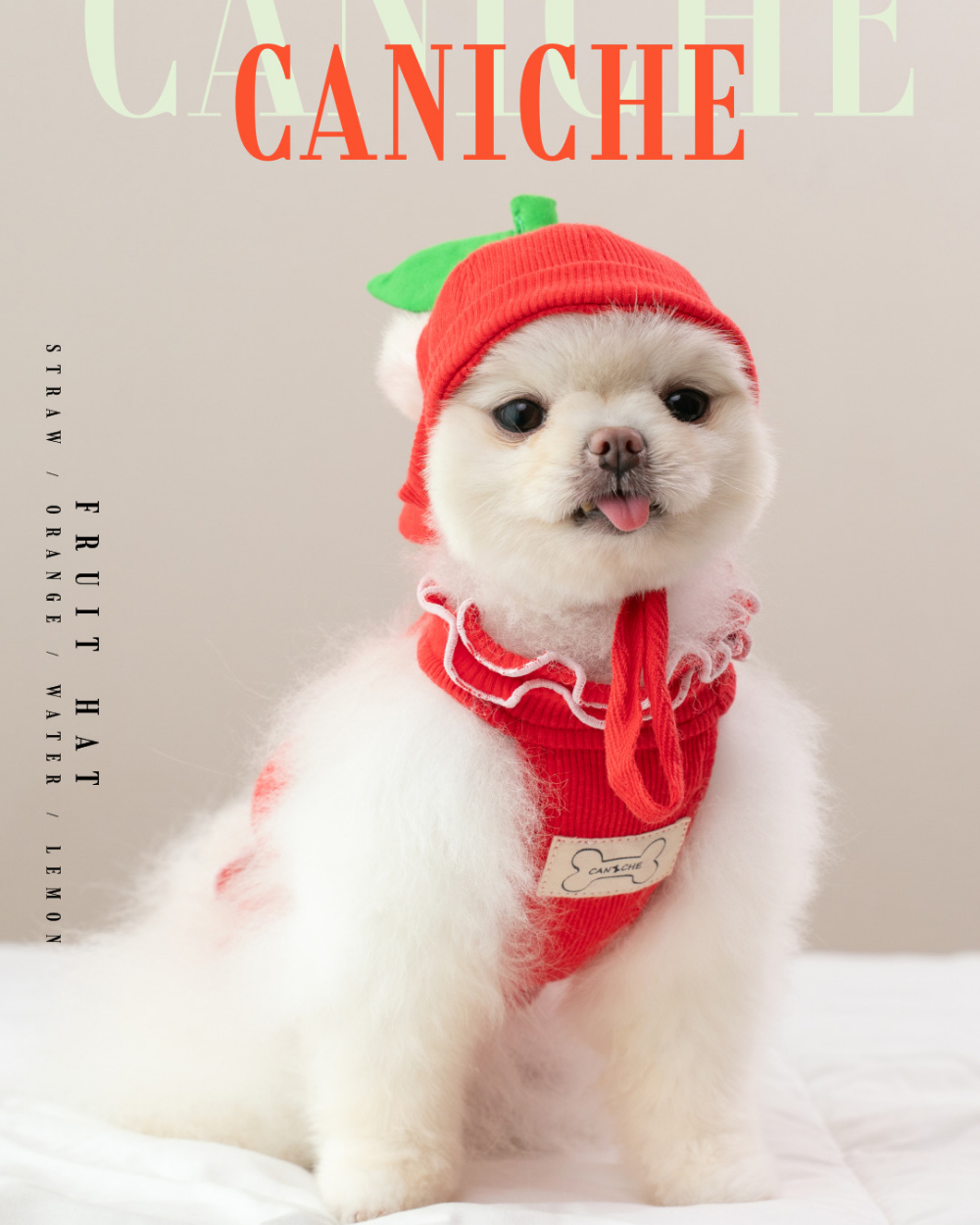 CANICHE Fruit Hat (5 Types) detail 4