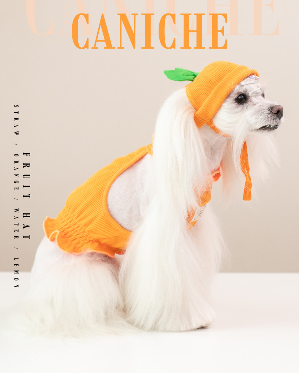 CANICHE Fruit Hat (5 Types) detail 5