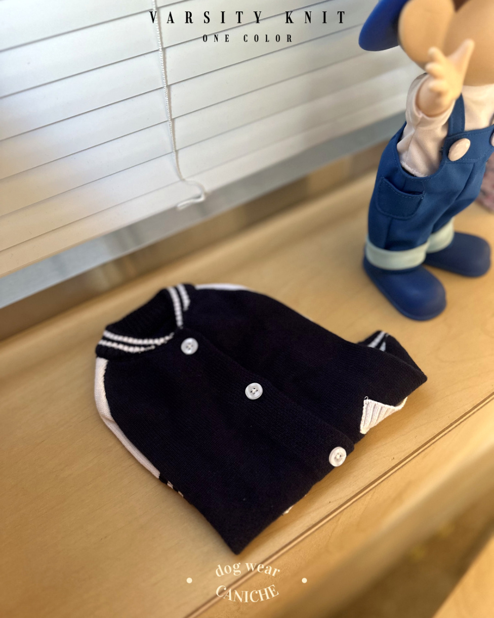 CANICHE Varsity Cotton Knit Sweater detail 3