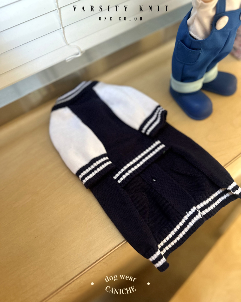 CANICHE Varsity Cotton Knit Sweater detail 2