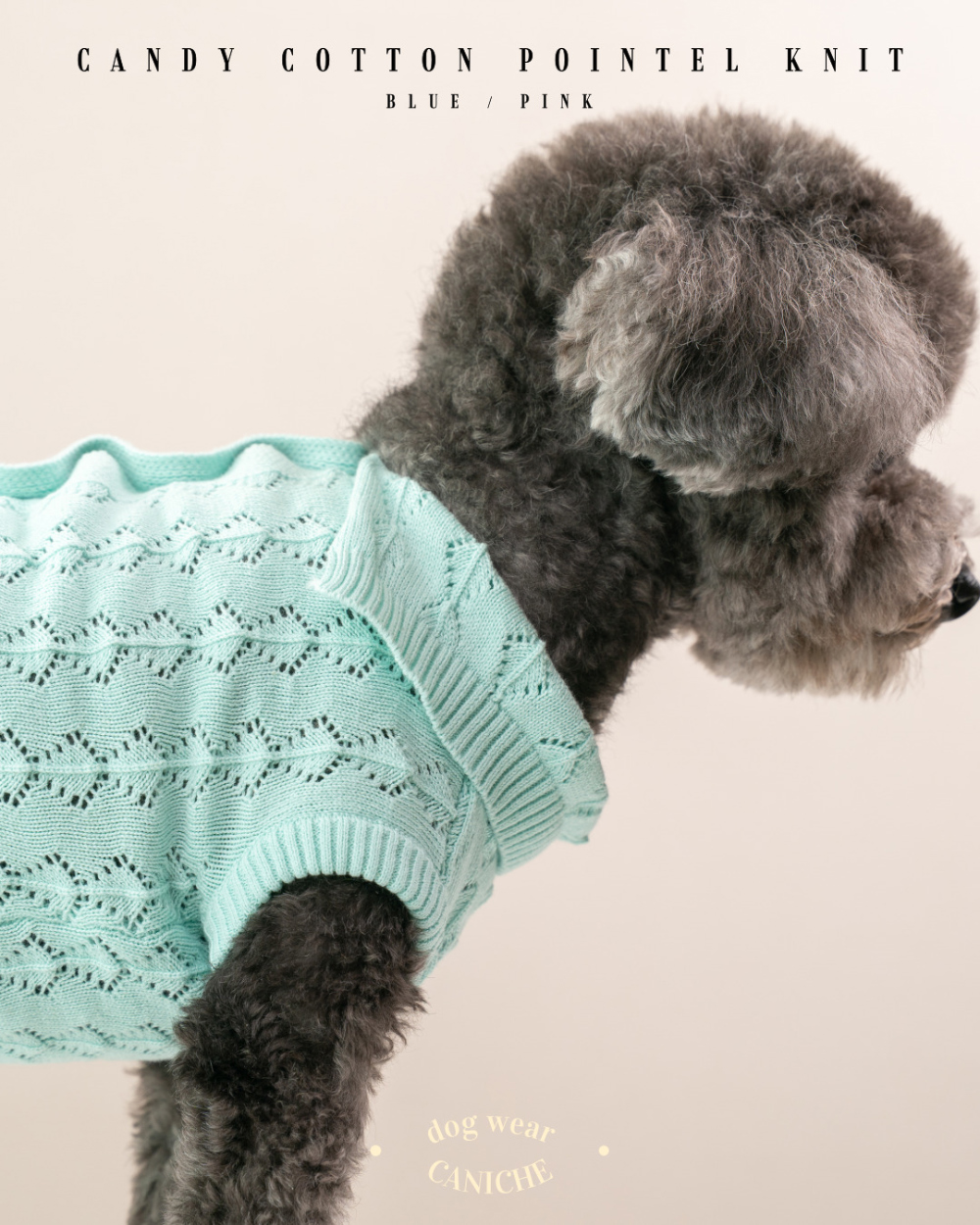 CANICHE Candy Cotton Pointelle Knit detail 8