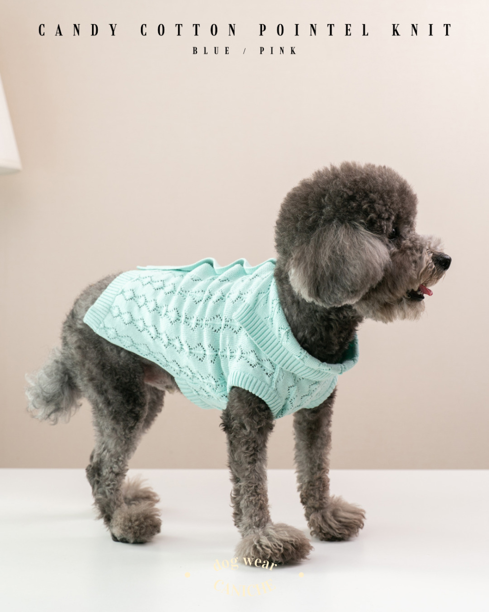 CANICHE Candy Cotton Pointelle Knit detail 7