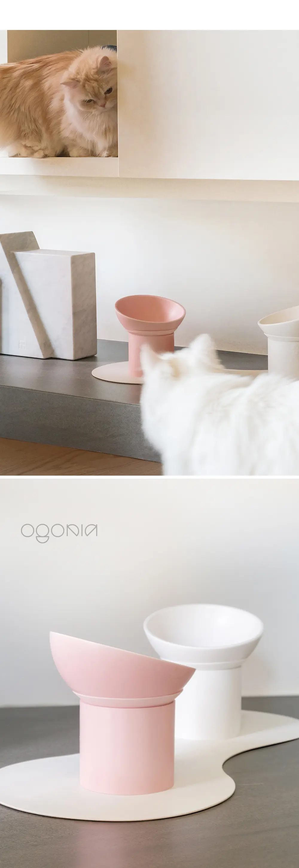 PETHROOM x Ogonia Single Feeder Set detail 13