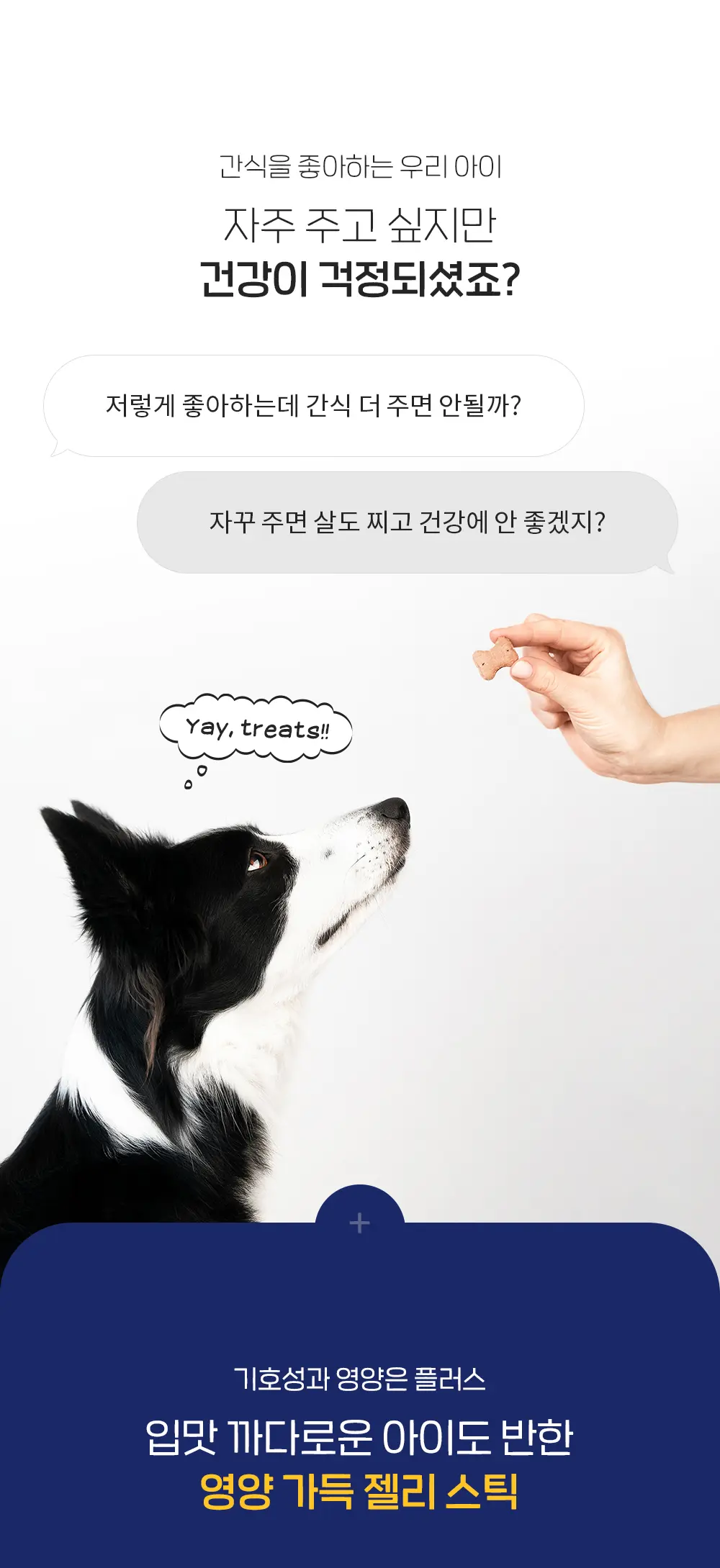 Soft Jelly Stick for Dogs detail 9