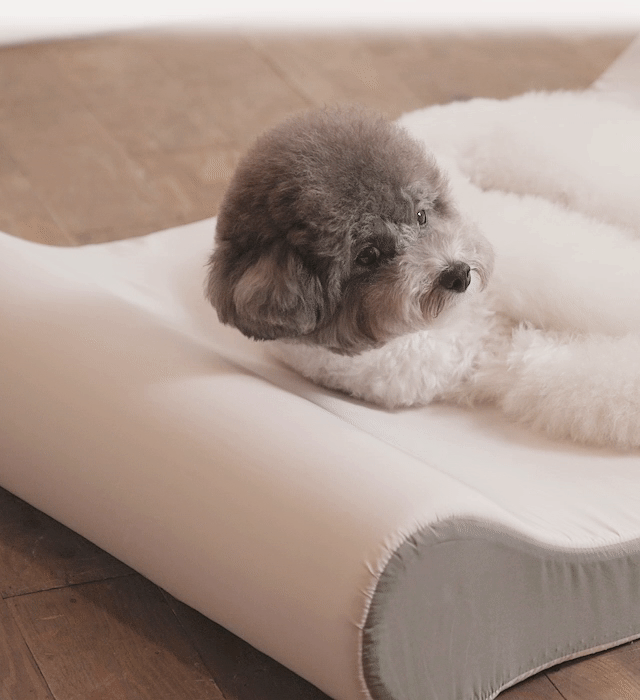 Bonbons Bed (3D Cooling Cover) detail 2