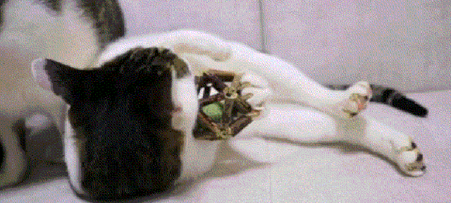 Catnip Ball detail 2