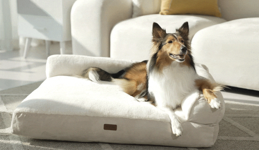 PETTAIL Sofa Cushion Bed - Reserve King Edition detail 13