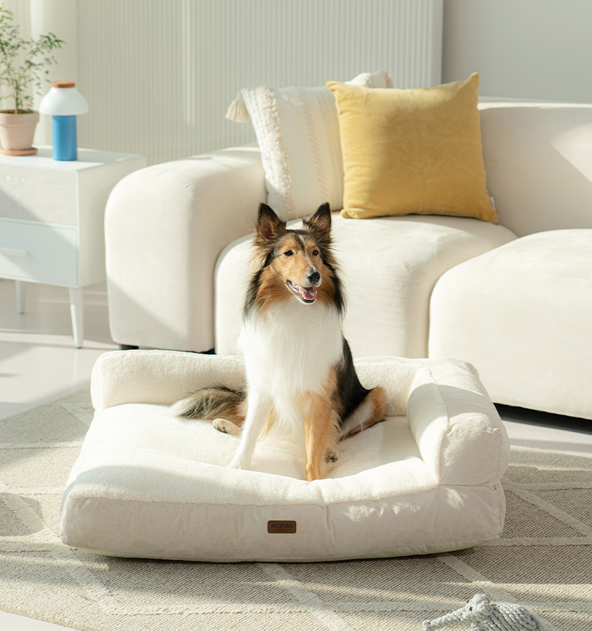 PETTAIL Sofa Cushion Bed - Reserve King Edition detail 27