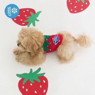 Bite Me Bug Shield Cooling Vest (3 Colors) detail 57
