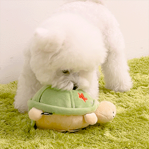 Bite Me Jelly Bear Squeaker Toy detail 44