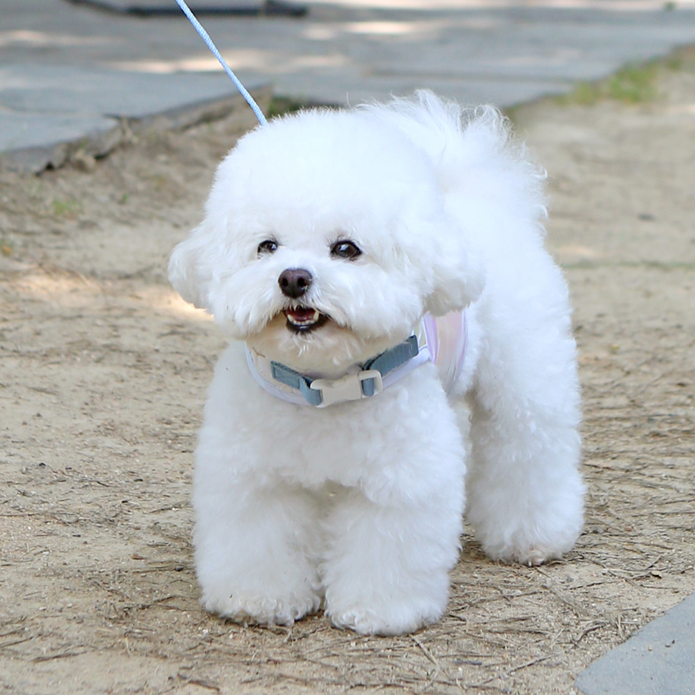 Disney Cool Harness (Olaf) detail 6