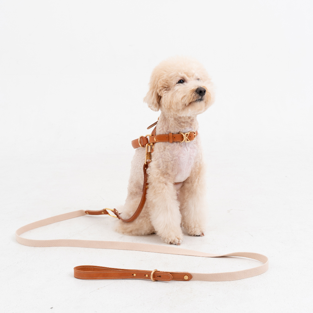 Basic Leash detail 29