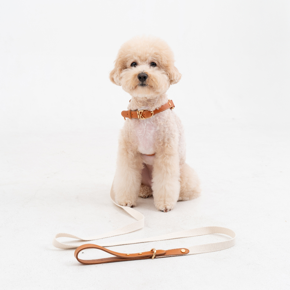 Basic Leash detail 33