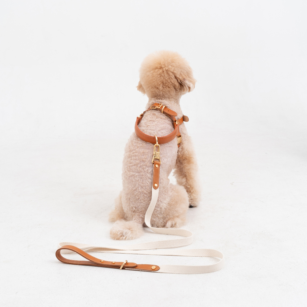 Basic Leash detail 28