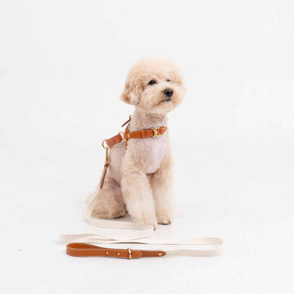 Basic Leash detail 32