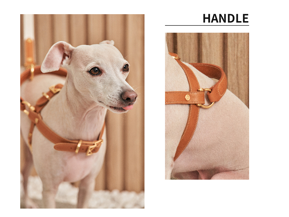 Basic Leash detail 2