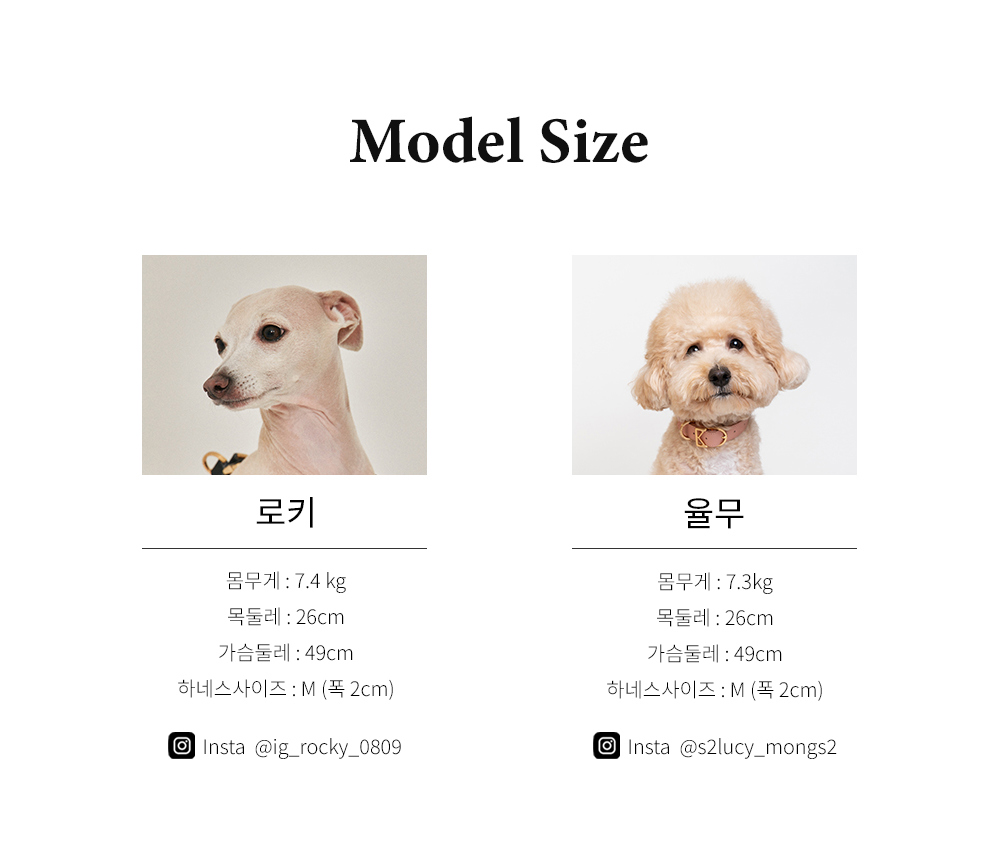 Basic Leash detail 36