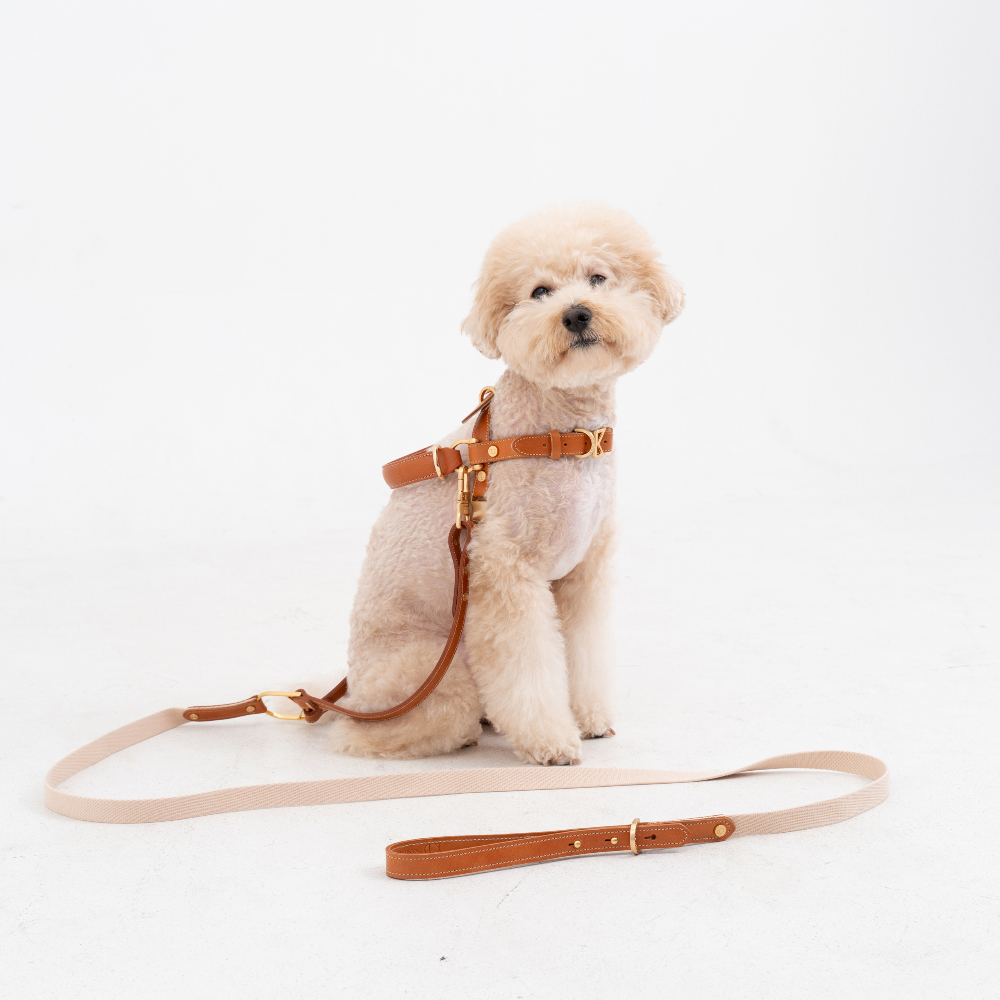 Basic Leash detail 30