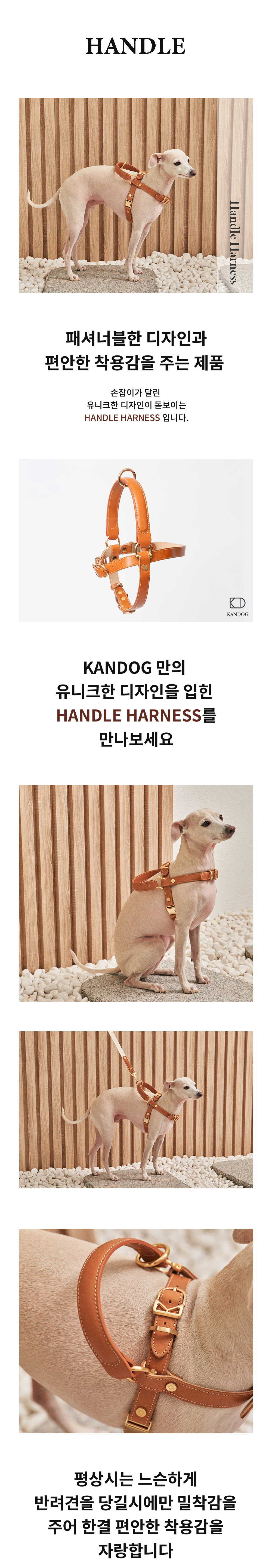 Basic Leash detail 1