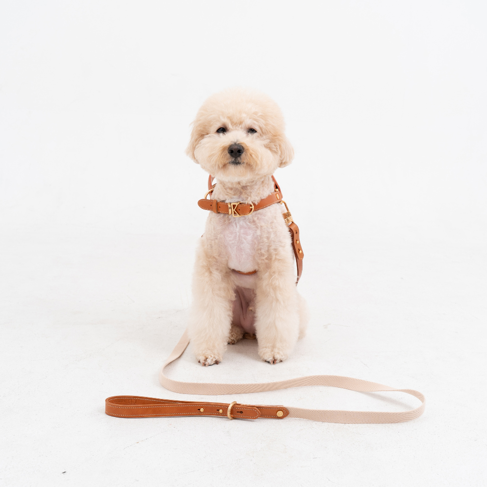 Basic Leash detail 27