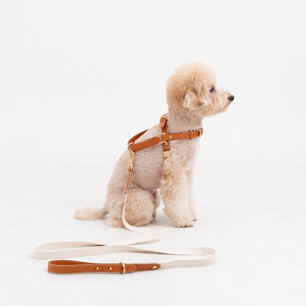 Basic Leash detail 31