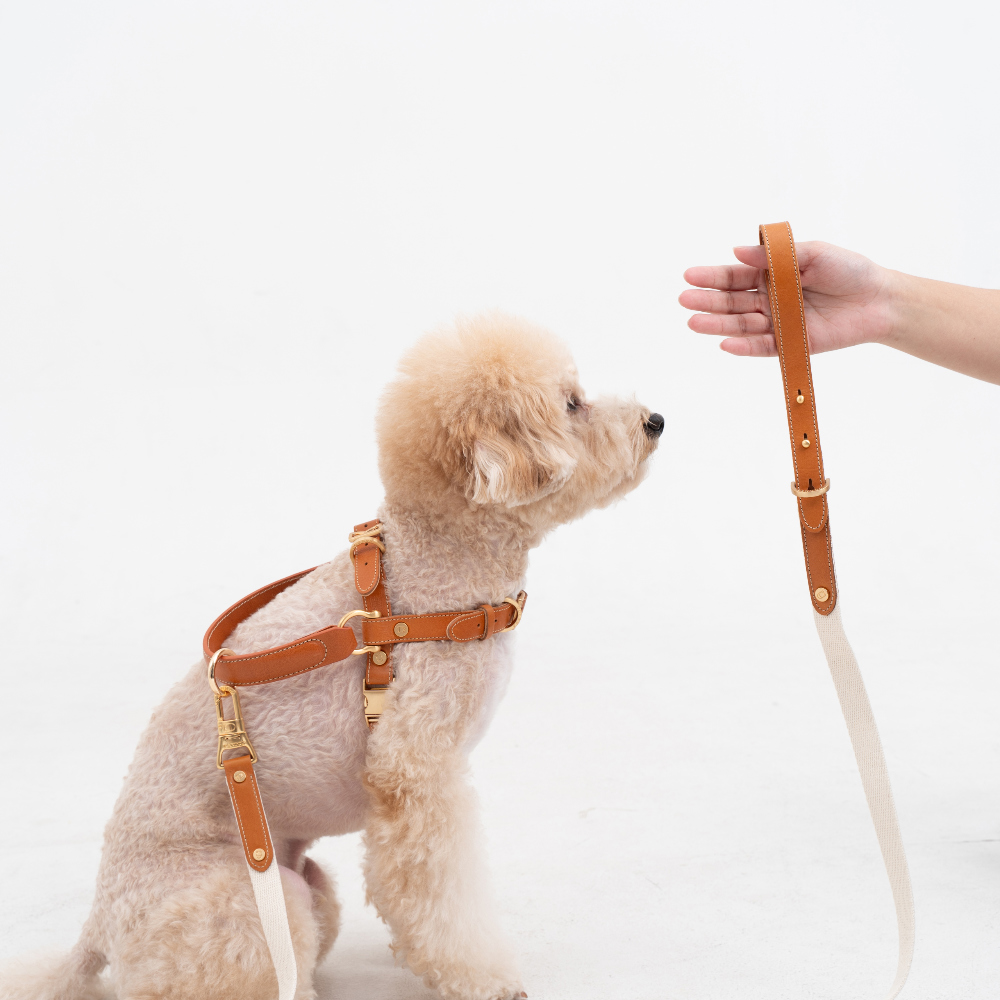 Basic Leash detail 34