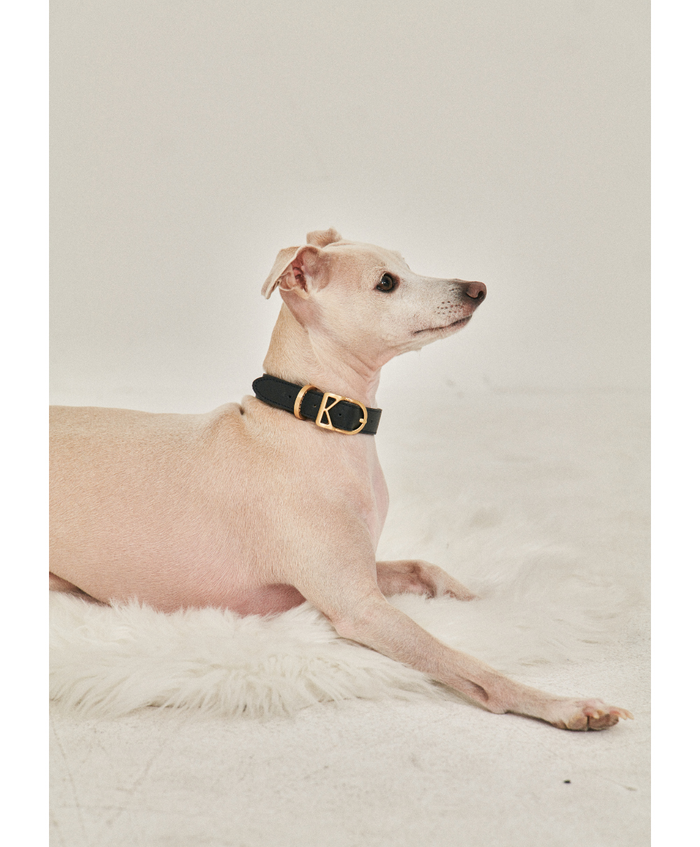 Roma Collar detail 18