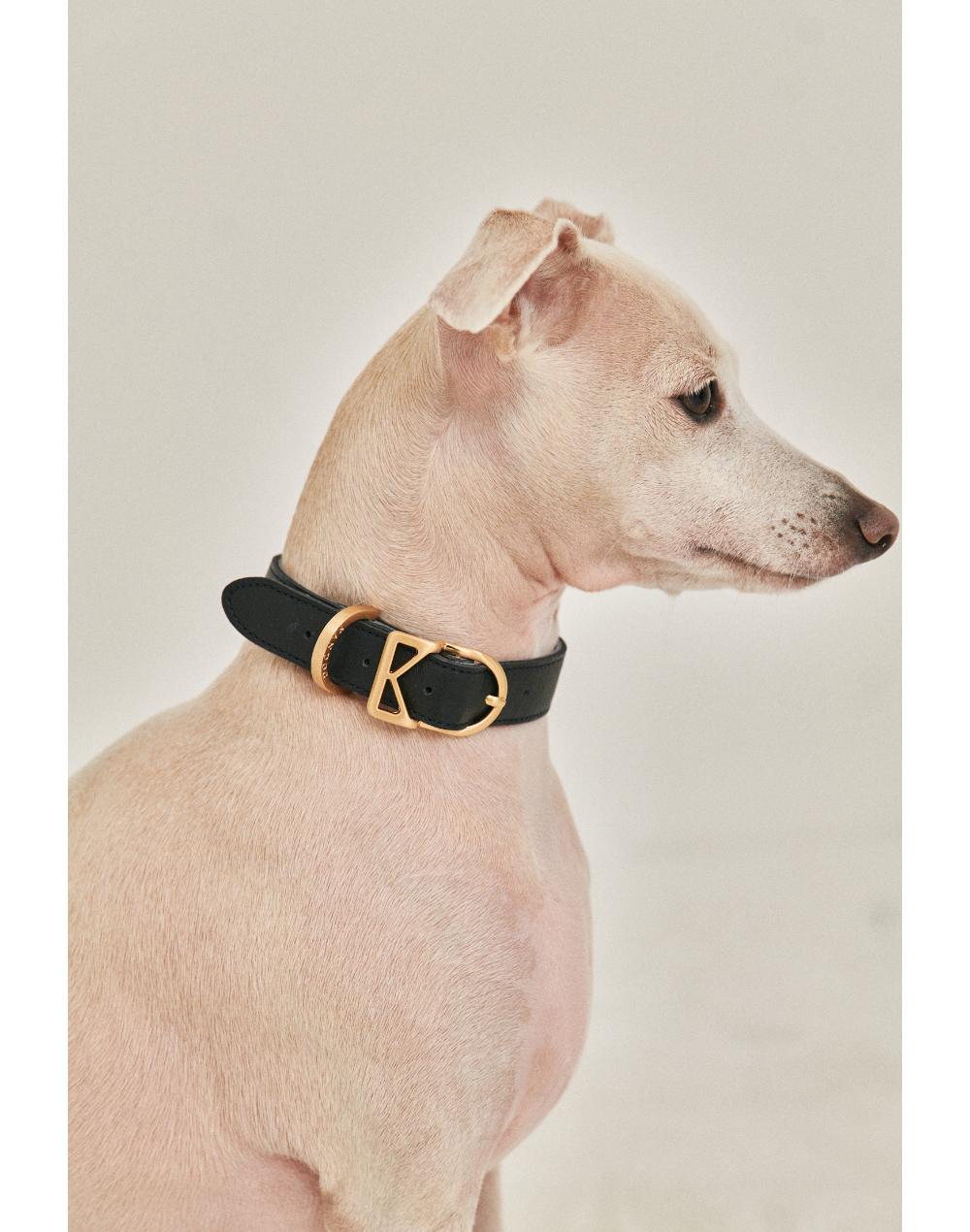 Roma Collar detail 17