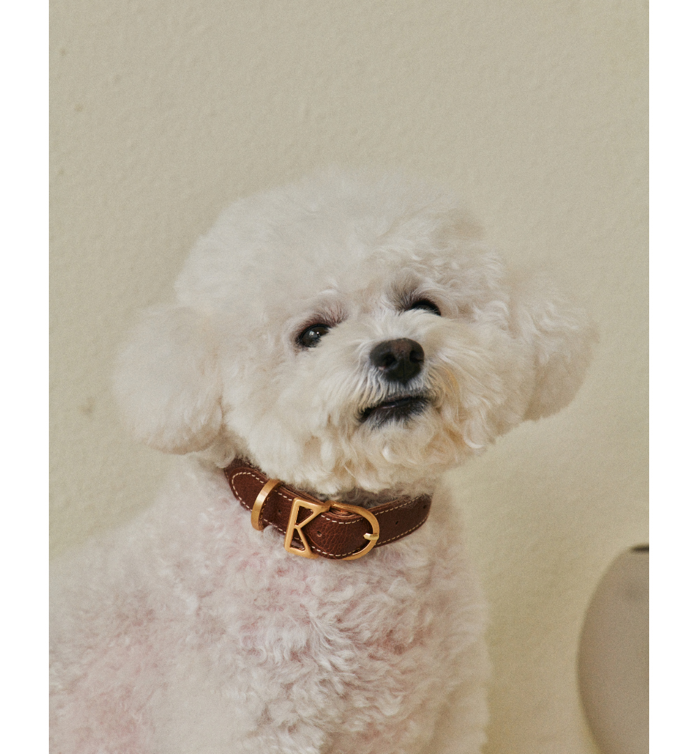 Roma Collar detail 15