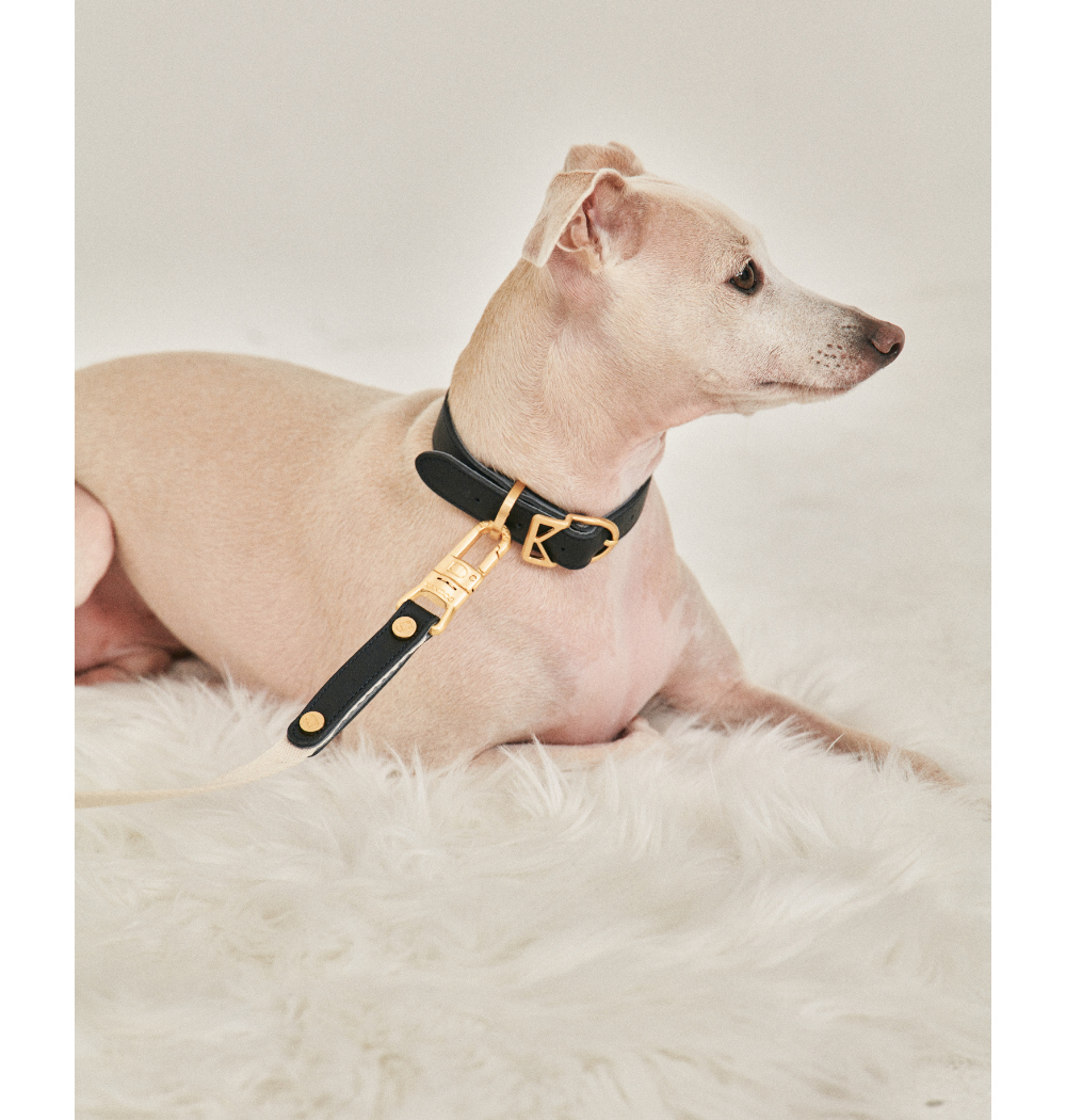 Roma Collar detail 20