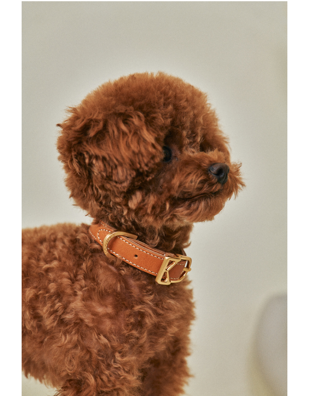 Roma Collar detail 12
