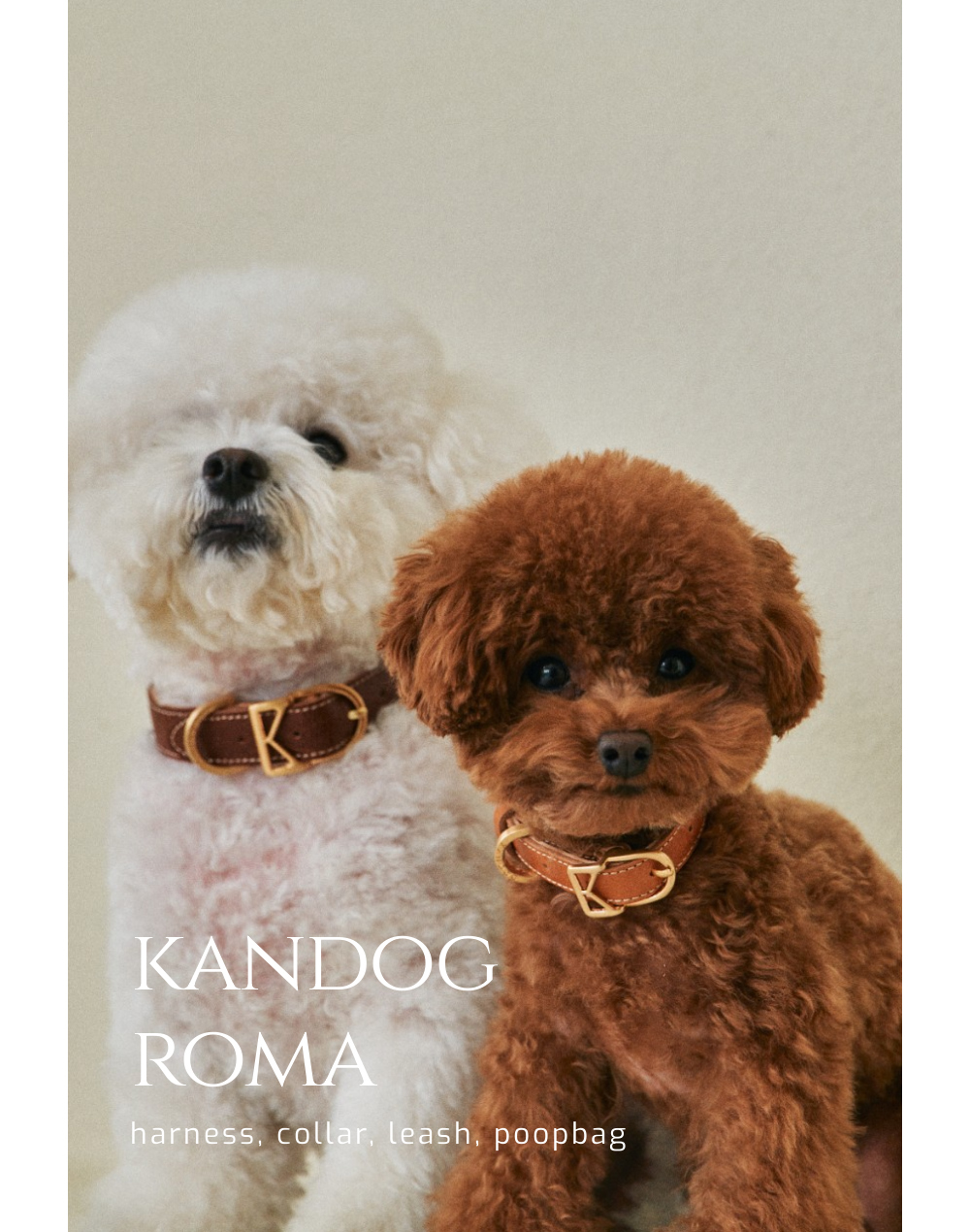 Roma Collar detail 1