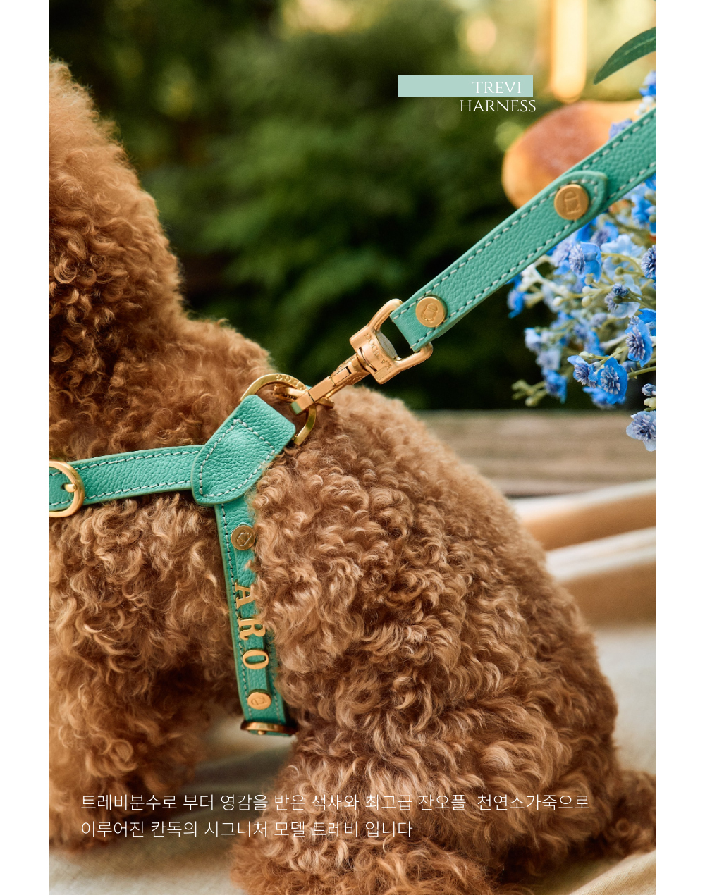 Trevi Harness detail 3