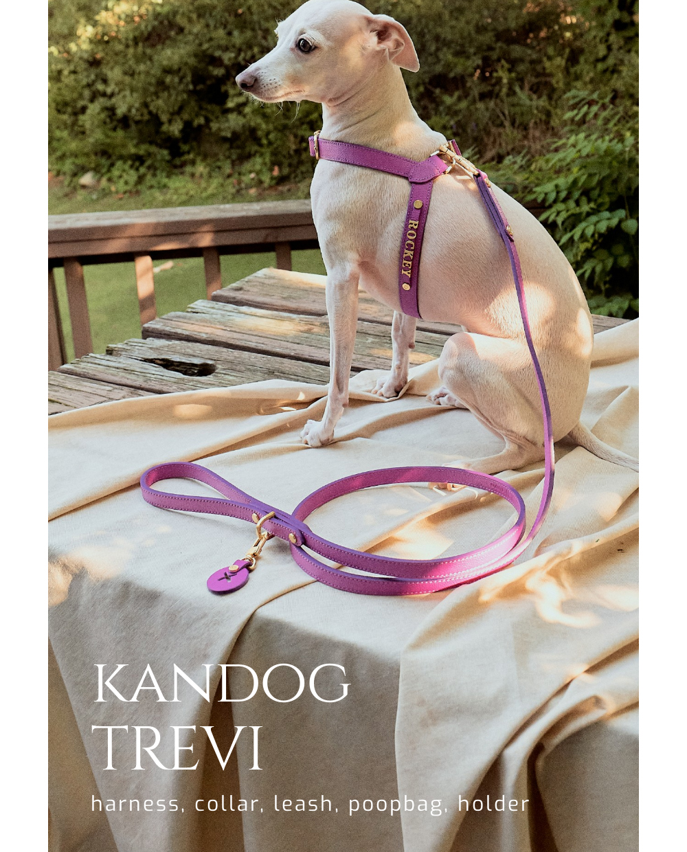 Trevi Leash detail 2