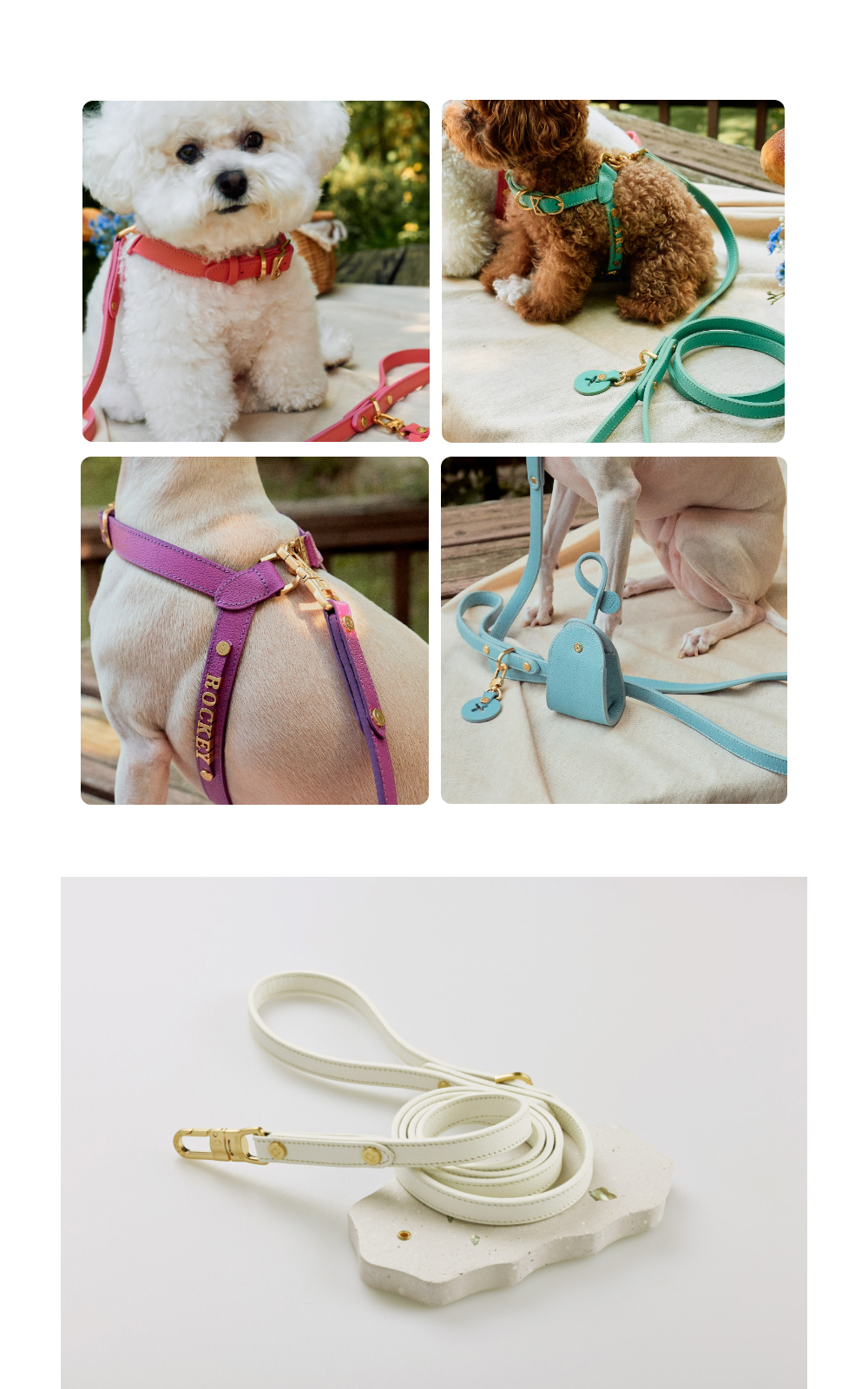 Trevi Leash detail 4
