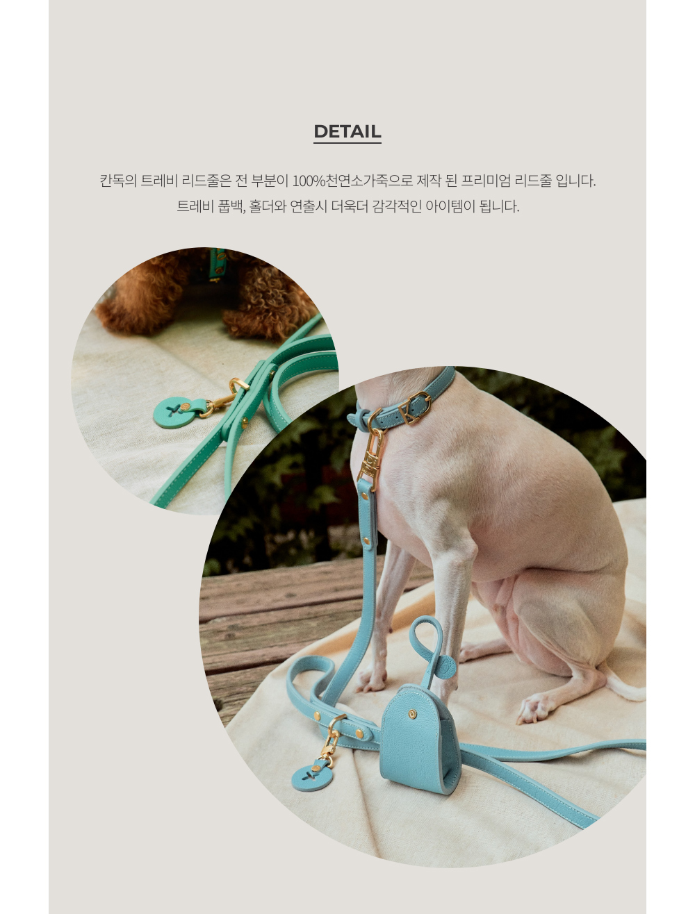 Trevi Leash detail 19