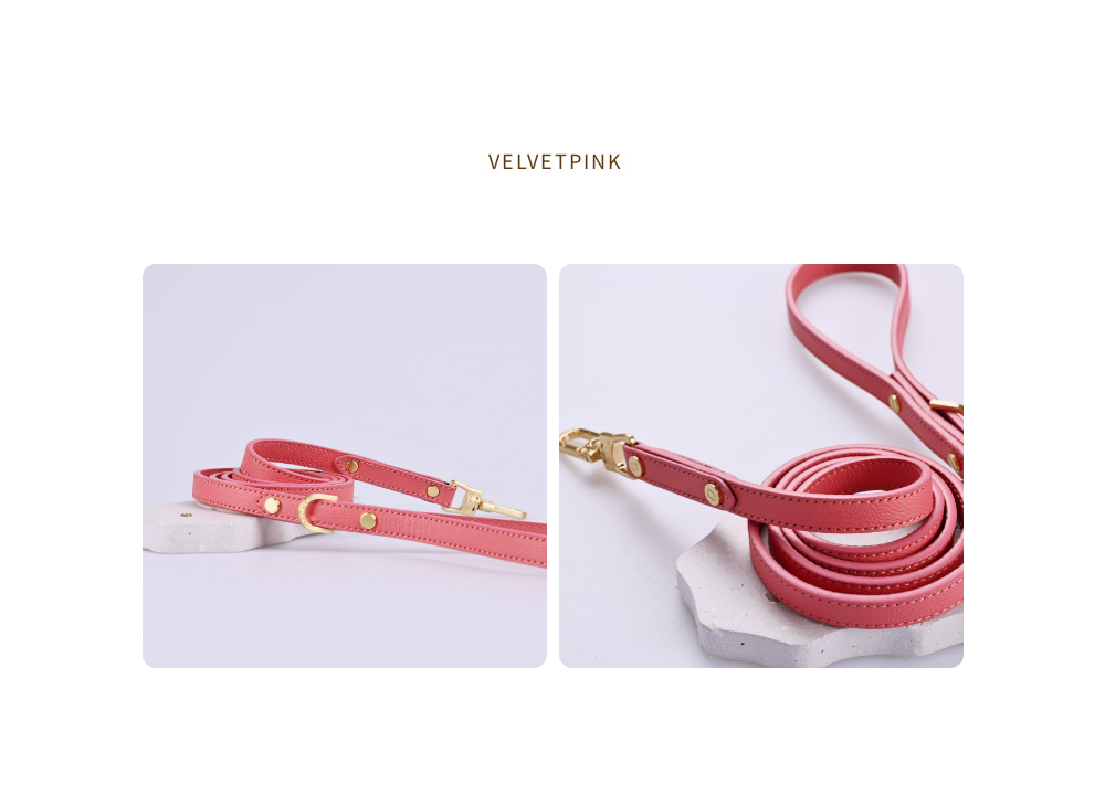 Trevi Leash detail 9