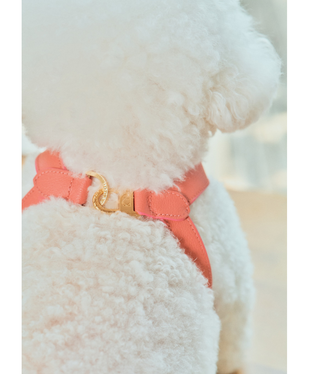 Trevi Harness detail 15