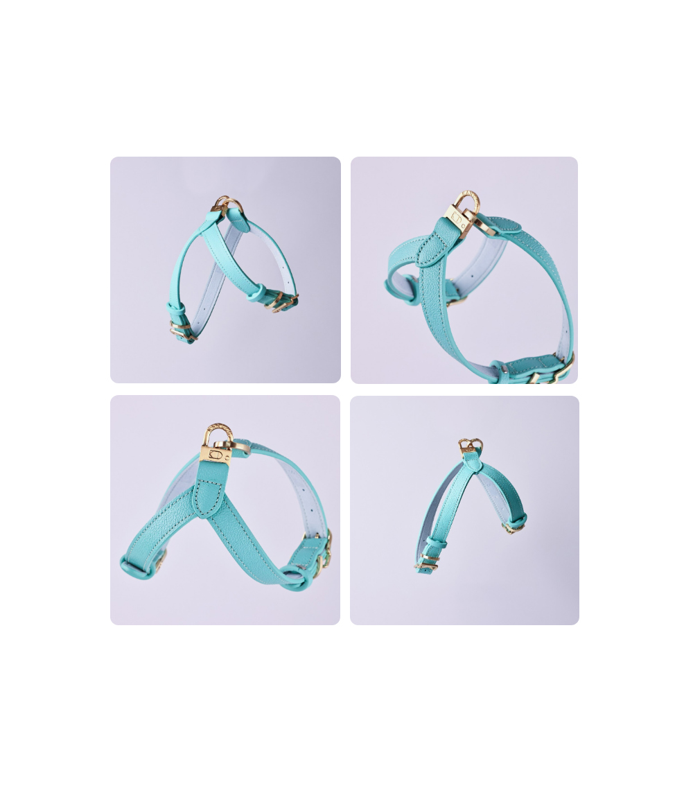 Trevi Harness detail 5