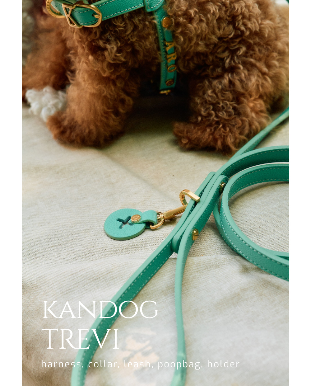 Trevi Poop Bag Holder detail 2