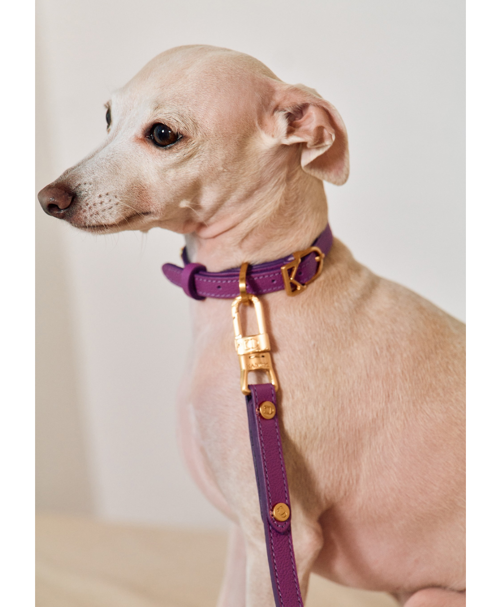 Trevi Collar detail 17