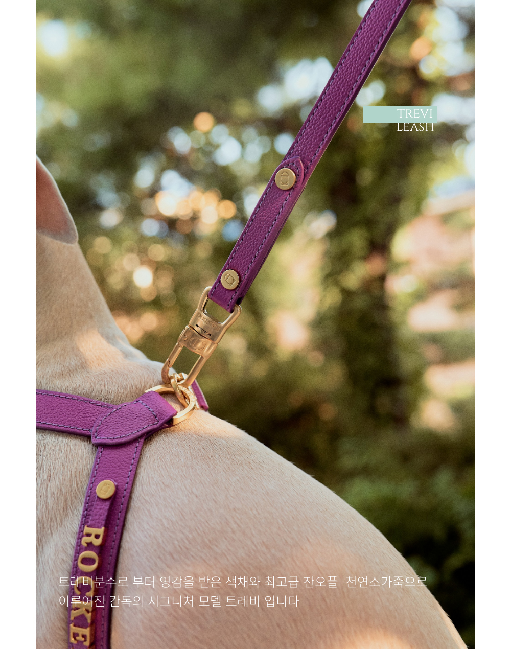 Trevi Leash detail 3