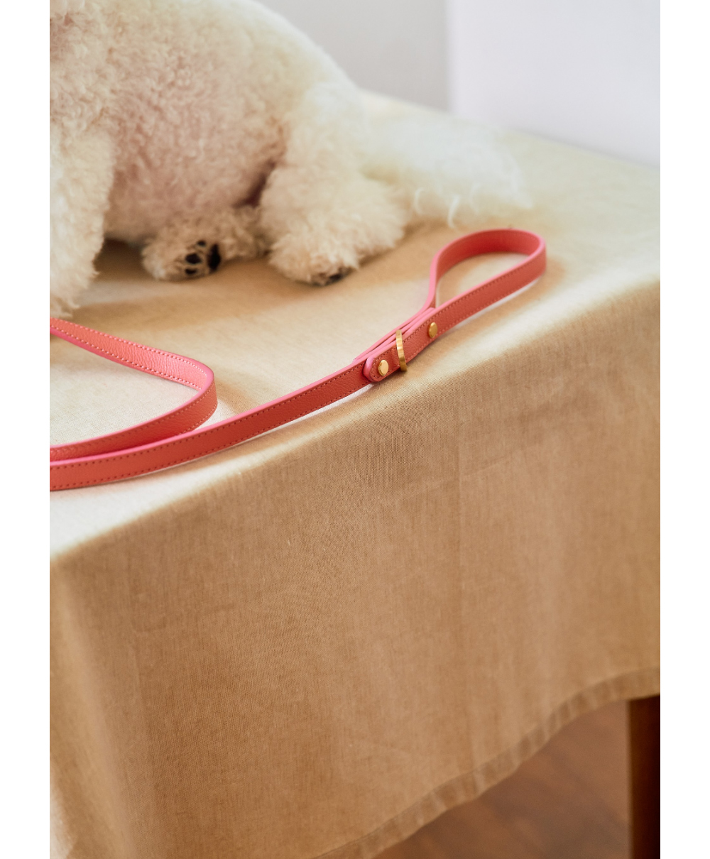 Trevi Leash detail 12