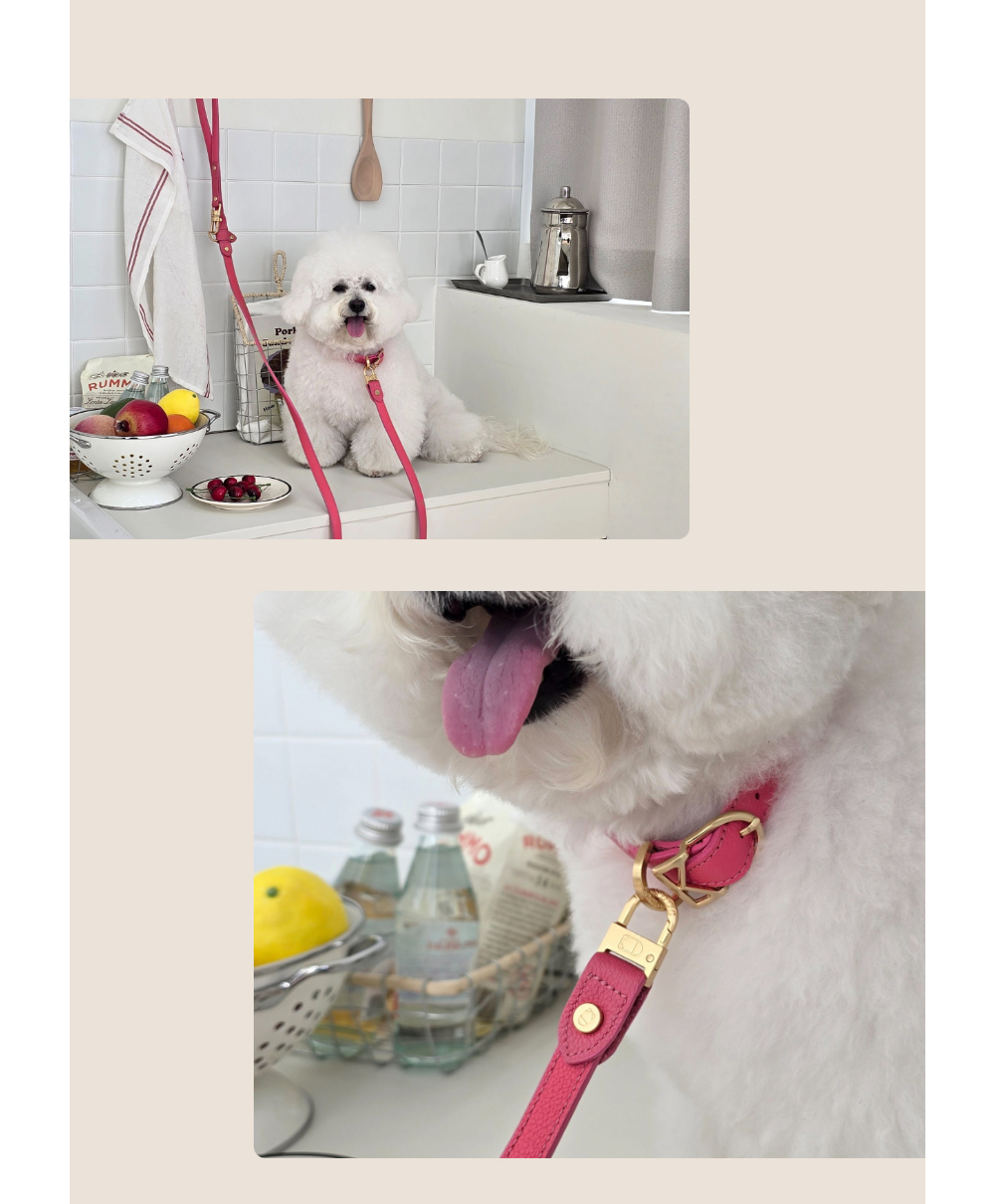 KANDOG Velour Collar detail 12