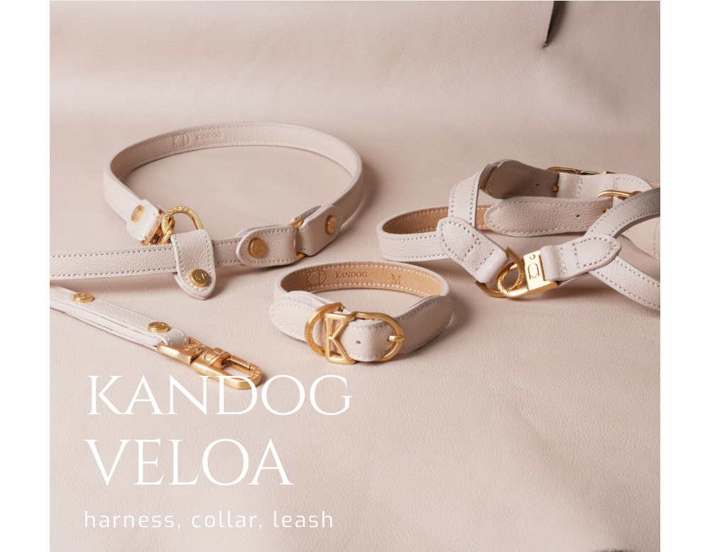 KANDOG Velour Leash detail 1